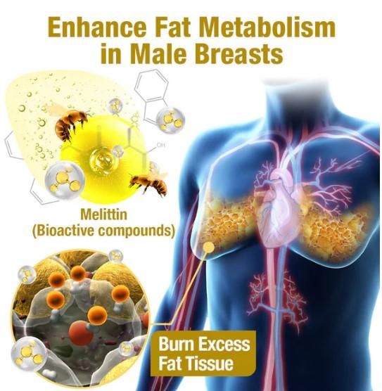 Men Therm - Bee Venom  Heating Oil